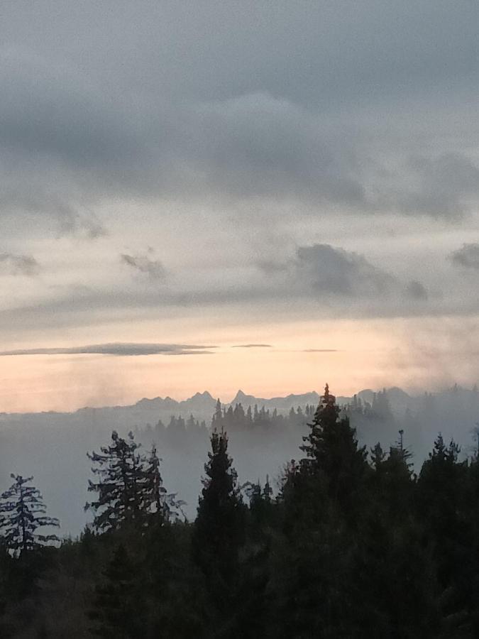Terre De Sapins - Gites Nature Haut De Gamme Avec Sauna Au Coeur Du Lac Blanc Орбе Екстериор снимка