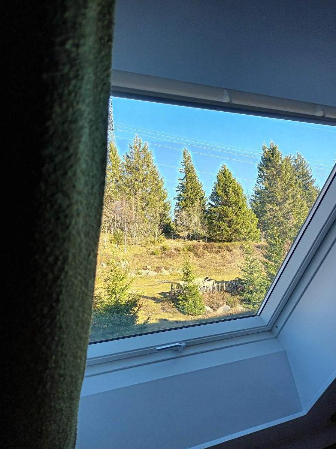Terre De Sapins - Gites Nature Haut De Gamme Avec Sauna Au Coeur Du Lac Blanc Орбе Екстериор снимка